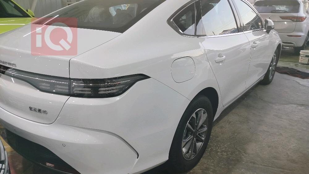 بي واي دي سيل 06 DM-i